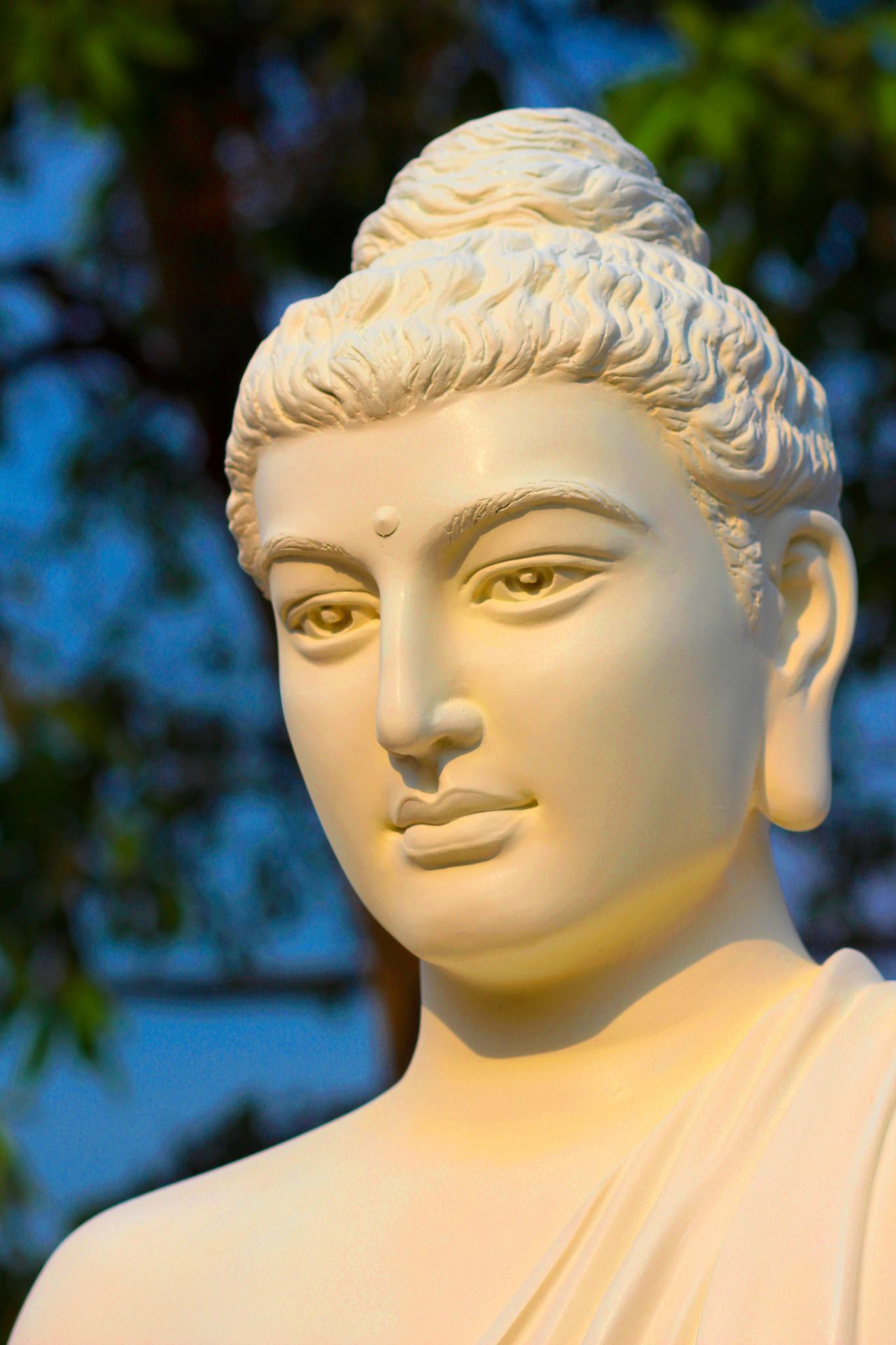 गोतम बुद्ध एक विस्मृत महामानव