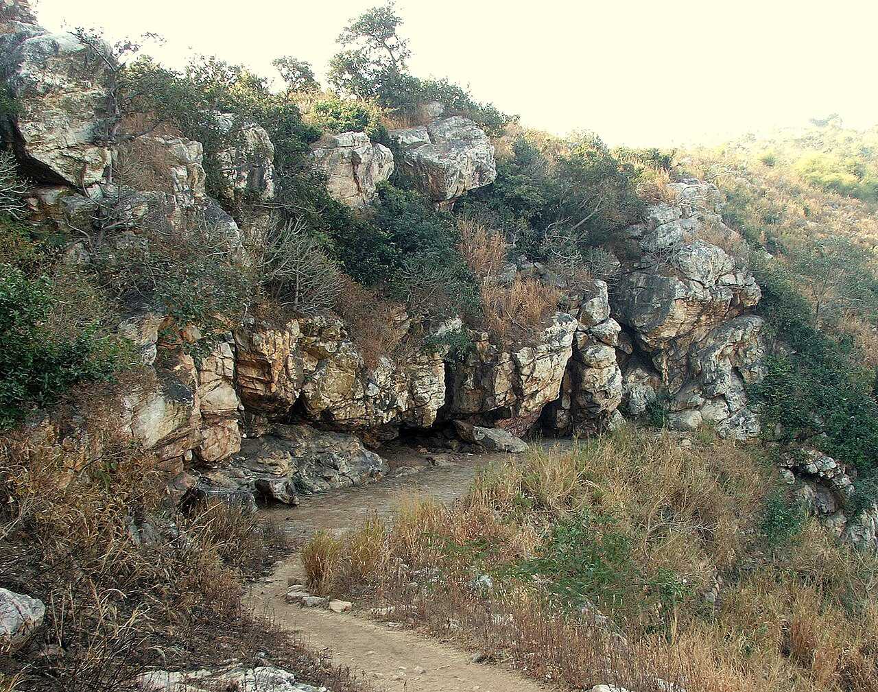 सप्तपर्णी गुफ़ा